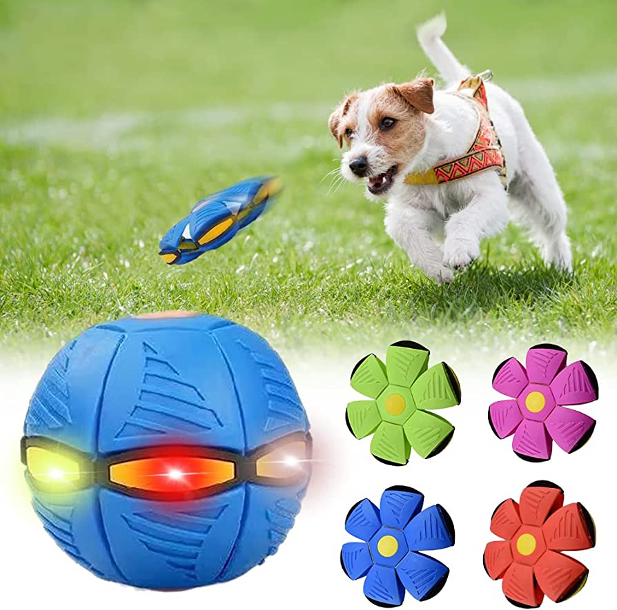 Soft Dog Frisbee