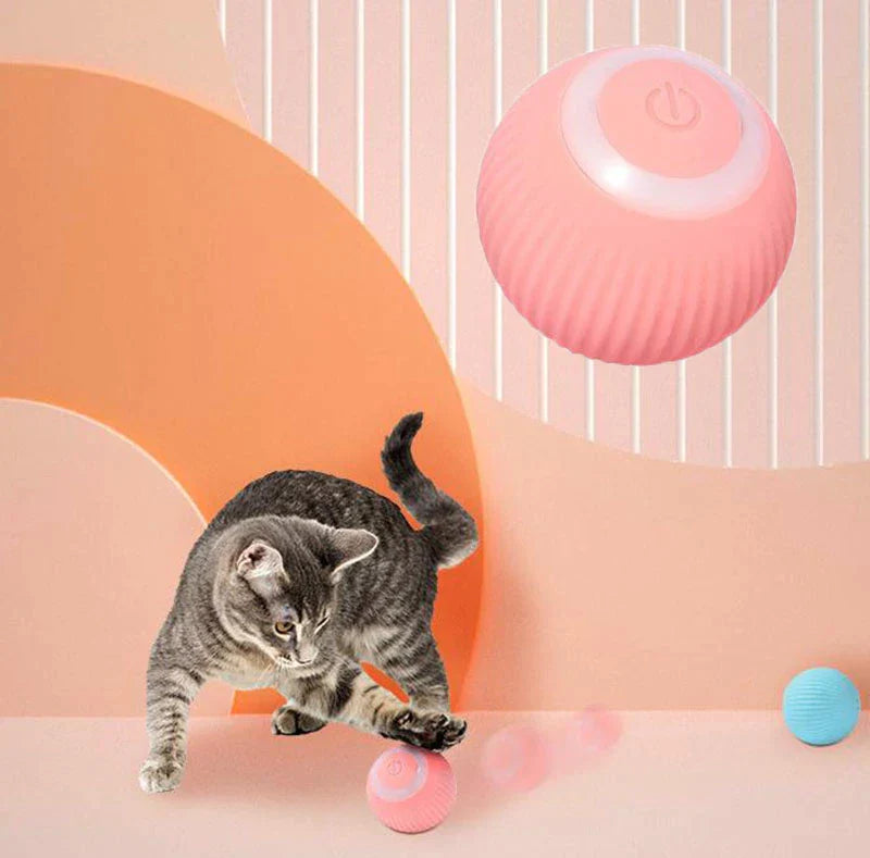 Automatic Interactive Cat Ball