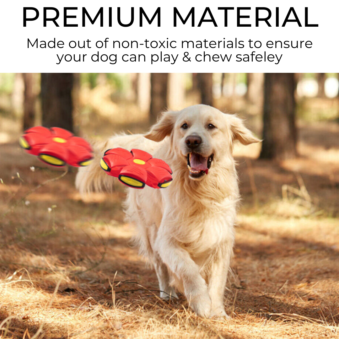 Soft Dog Frisbee